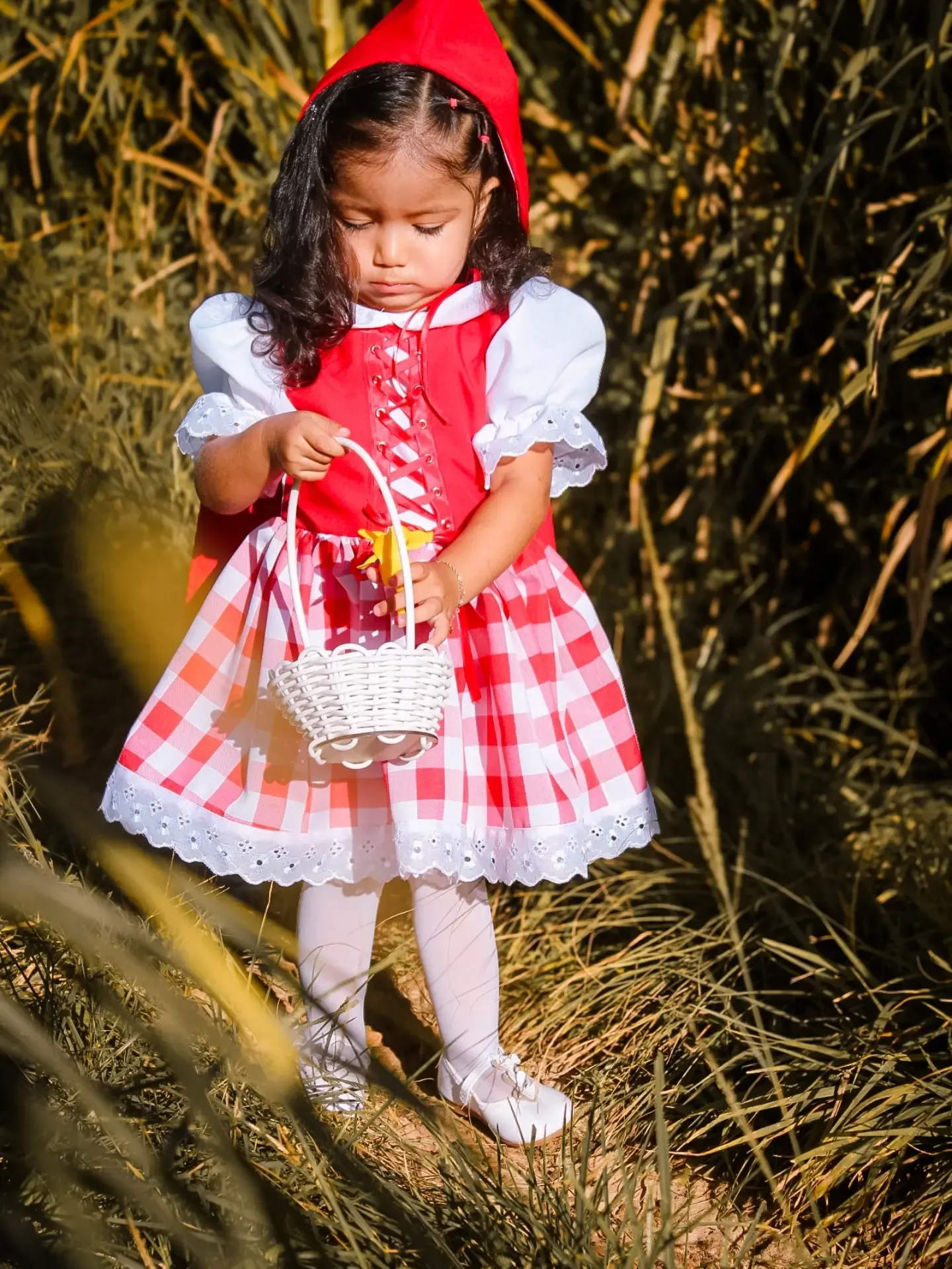 Menina vestida de Chapeuzinho Vermelho segura uma cestinha no meio do capim.